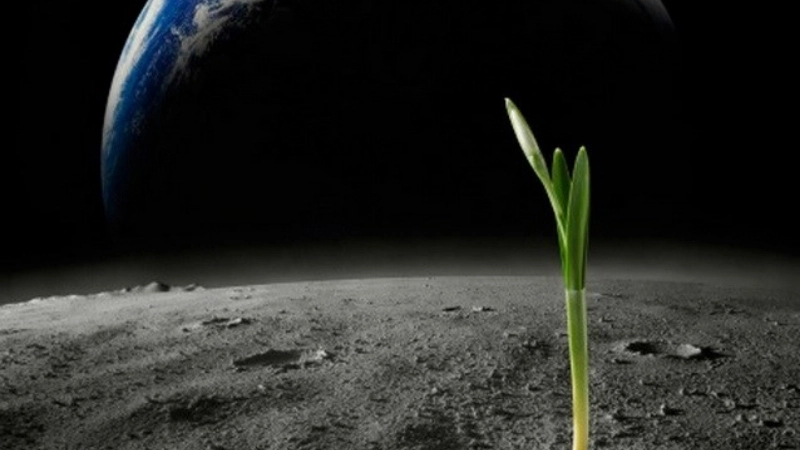 Các bằng chứng và dấu hiệu khoa học đã ghi nhận