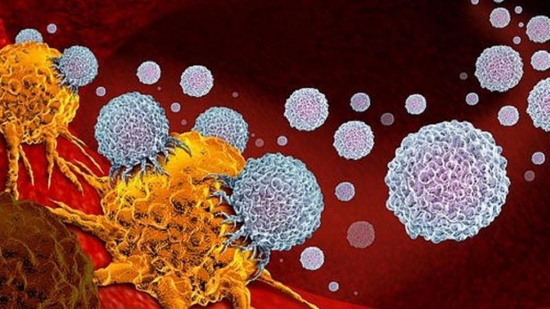 Chữa ung thư và hy vọng mới