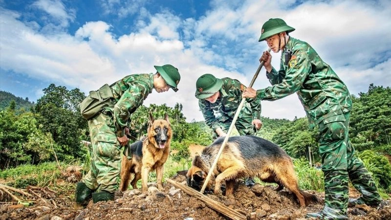 Chó cứu hộ người hùng trong thiên tai