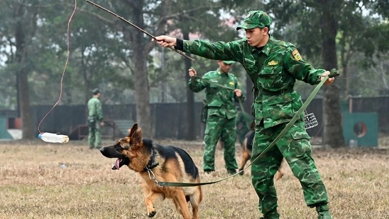 Động vật cứu hộ sức mạnh hỗ trợ con người