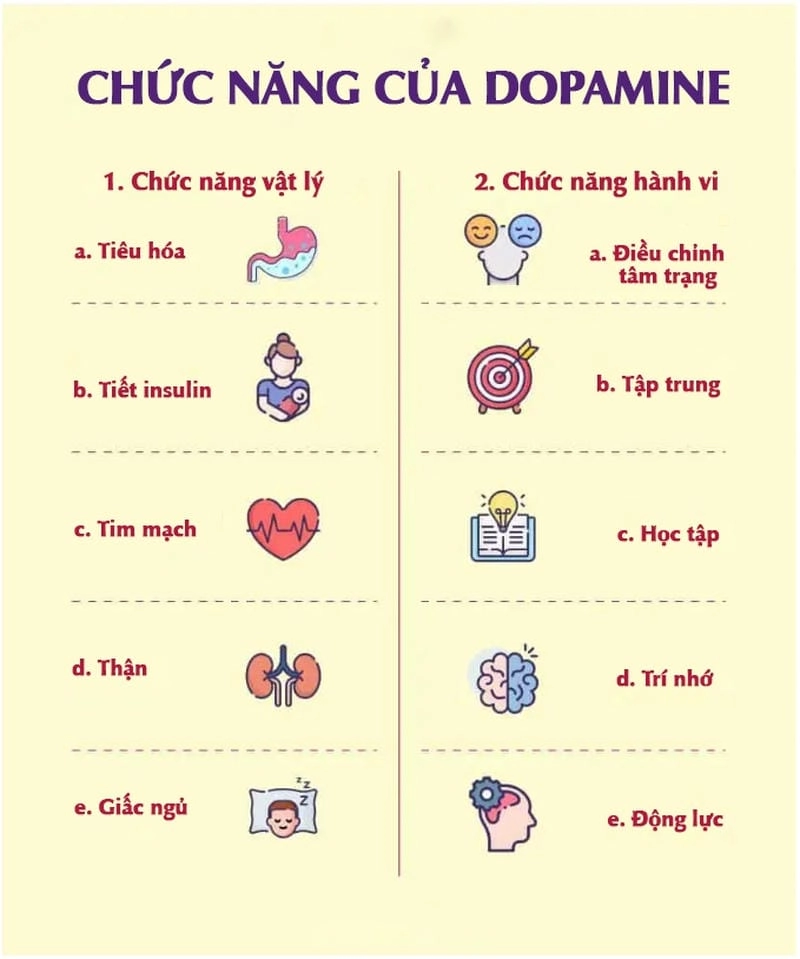 Hiểu rõ vai trò của Dopamine trong hành vi con người