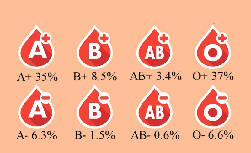 Khám phá nhóm máu hiếm nhất ở người là nhóm máu nào hiện nay