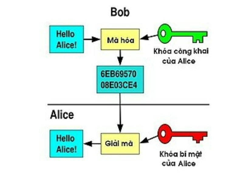 Khám phá cách số nguyên tố tạo nên chìa khóa bảo mật