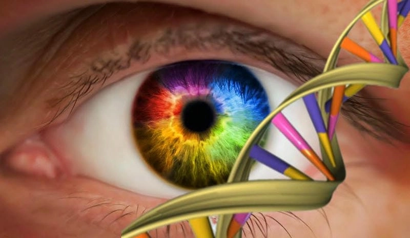 Khám phá mắt người phân biệt được mấy màu cơ bản qua ảnh trực quan