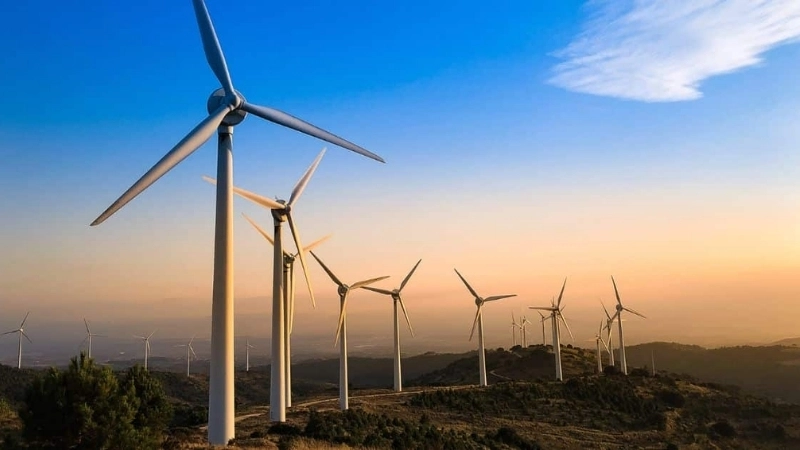 Năng lượng gió là gì và tại sao ngày càng được ưa chuộng