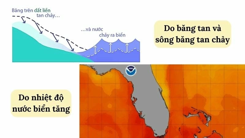 Tác động mạnh từ băng tan và giãn nở nhiệt đến môi trường