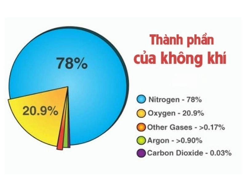 Thành phần chính và vai trò của oxy ảnh hưởng đến sự sống thế nào