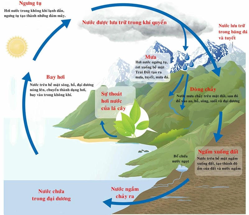 Hiểu thêm chu trình nước và vai trò quan trọng của bay hơi