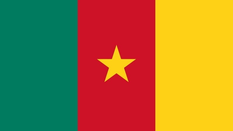 Đặc điểm hình dạng của quốc kỳ Cameroon hiện tại