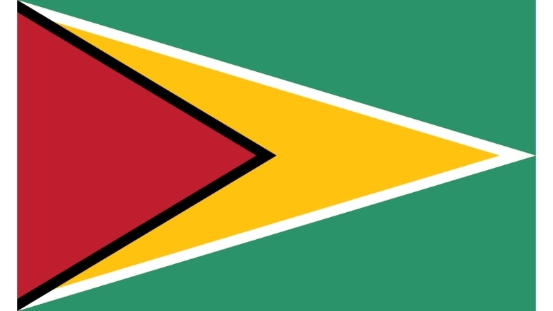 Đặc điểm hình dạng của quốc kỳ Guyana hiện tại