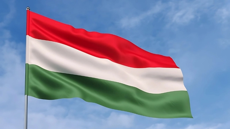 Lịch sử, nguồn gốc ra đời của quốc kỳ Hungary