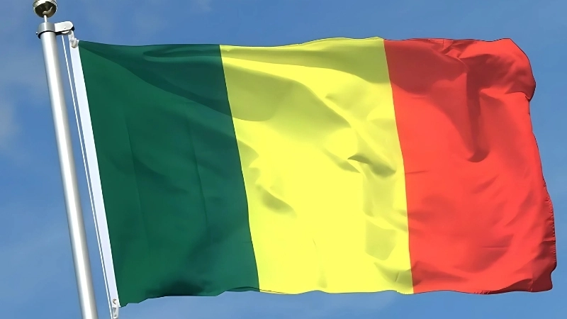 Lịch sử, nguồn gốc ra đời của quốc kỳ Mali