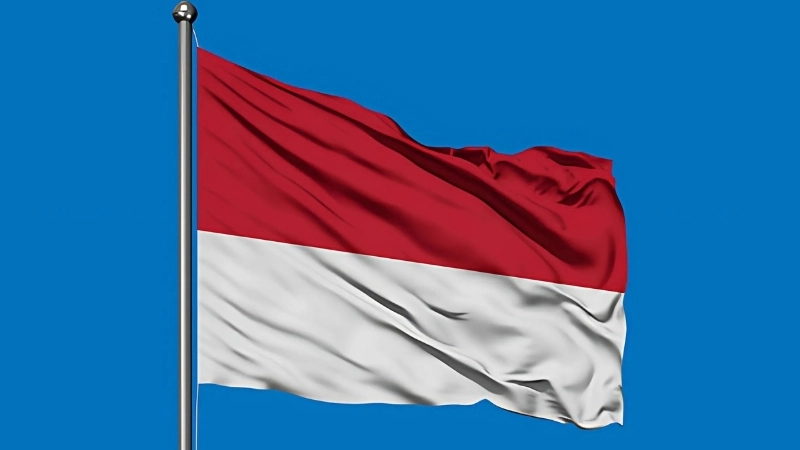 Lịch sử, nguồn gốc ra đời của quốc kỳ Monaco