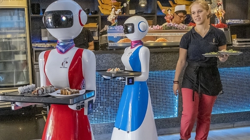 Robot dịch vụ là gì và vai trò trong cuộc sống hiện đại