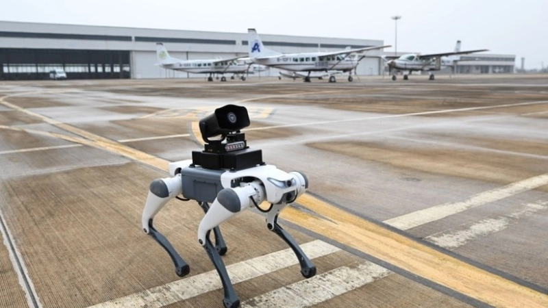 Robot an ninh là gì và hoạt động như thế nào