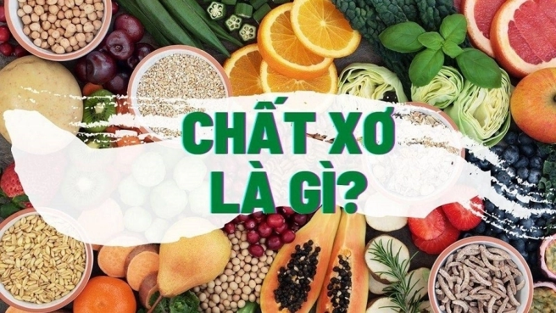 Chất xơ là gì?