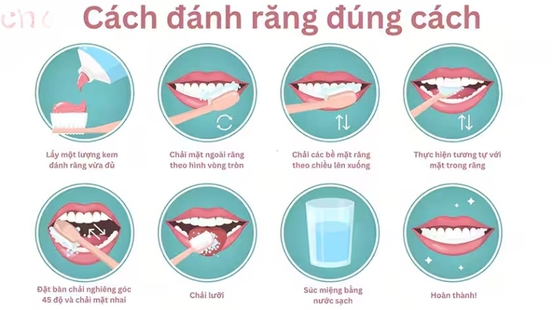 Hướng dẫn đánh răng đúng cách