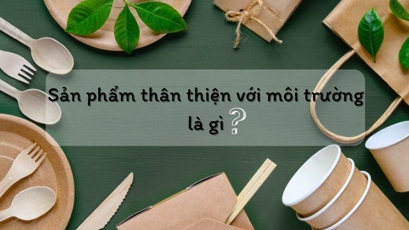 Sản phẩm vệ sinh thân thiện môi trường là gì?