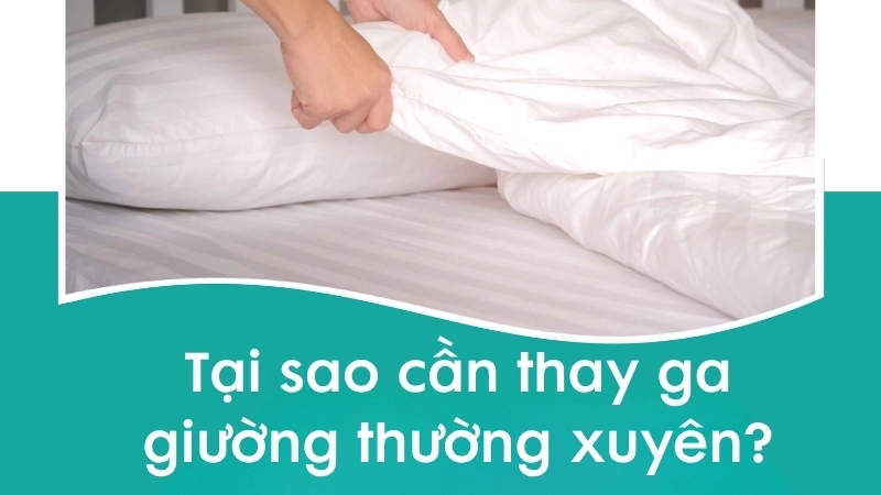 Tại sao cần thay ga giường thường xuyên?