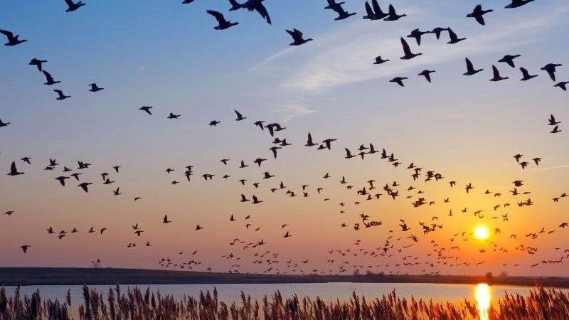 Môi trường sống và bảo tồn đa dạng sinh học