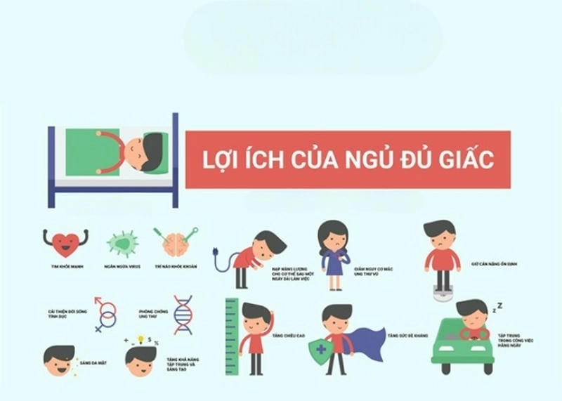 Khám phá thêm về tại sao giấc ngủ quan trọng với trí nhớ