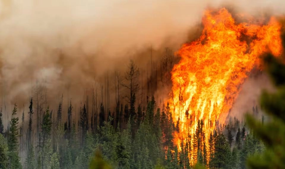 Thực trạng hệ sinh thái và những mối đe dọa từ con người đáng lo ngại