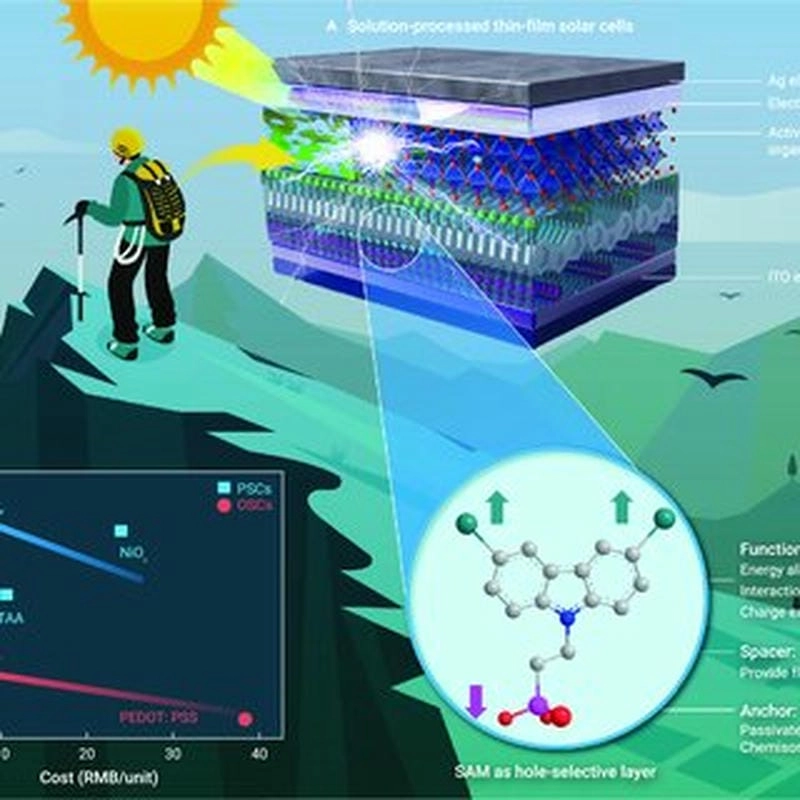 Khám phá tấm đơn lớp tự lắp ráp là gì ngay hôm nay