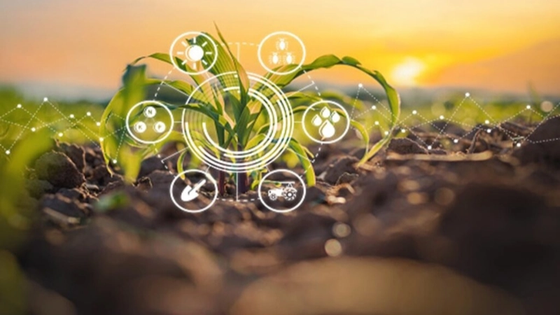 Ứng dụng AgriTech thúc đẩy nông nghiệp Việt Nam hội nhập toàn cầu