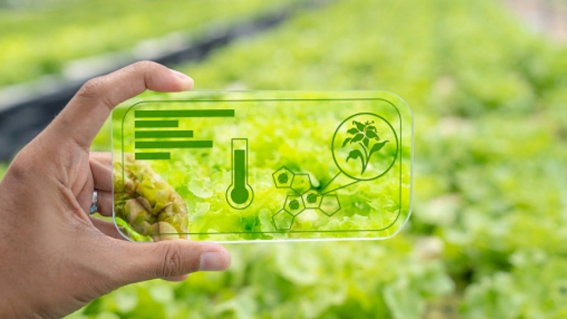 Ứng dụng AgriTech trong thực tiễn đời sống