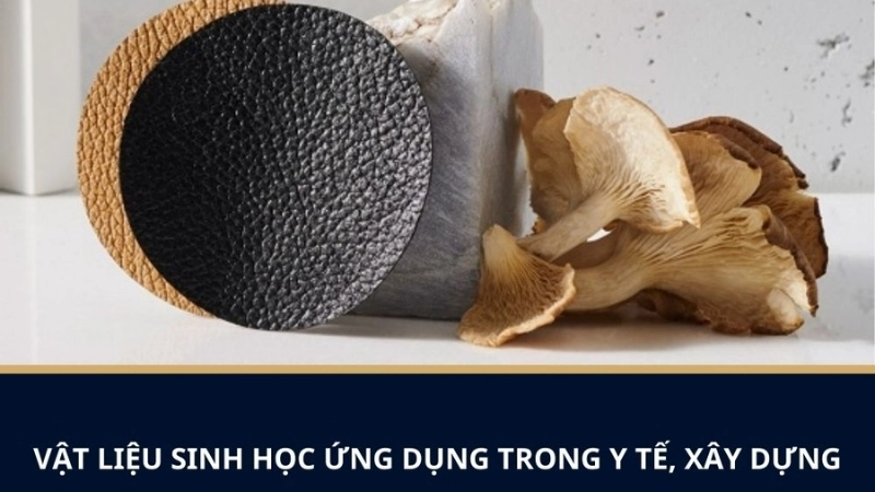 Vật liệu sinh học là gì và đặc điểm nổi bật