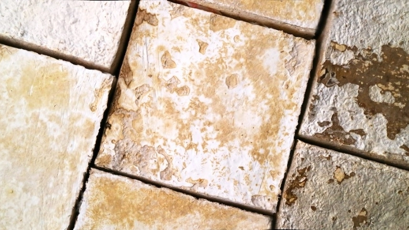 Các loại vật liệu sinh học phổ biến và ứng dụng thực tế