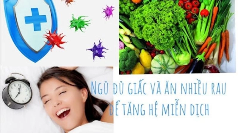 iấc ngủ và hệ miễn dịch có mối liên hệ mật thiết