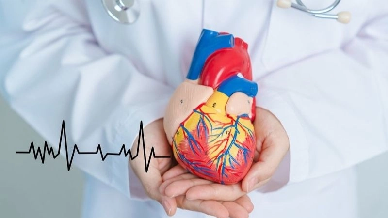 Cách giảm nhịp tim tăng cao cần kết hợp chế độ sinh hoạt