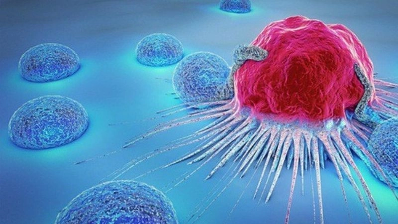 Câu hỏi thường gặp về bệnh mãn tính