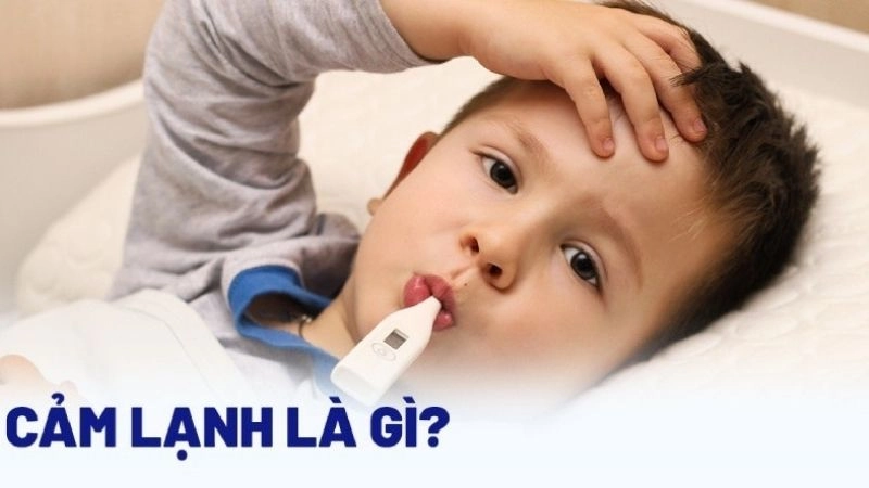 Cảm lạnh là một bệnh truyền nhiễm do virus gây ra ở đường hô hấp