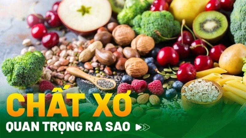 Vai trò chất xơ đối với cơ thể