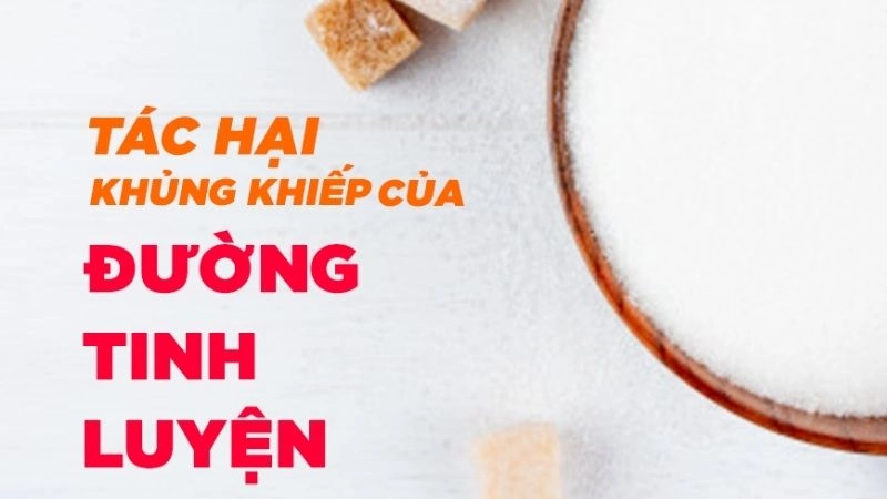 Tác hại của đường tinh luyện đối với sức khỏe