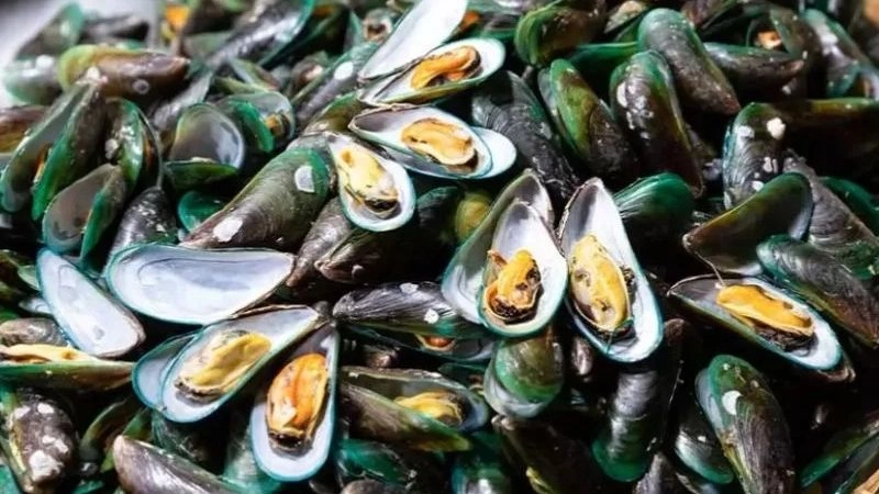 Vẹm xanh là thực phẩm chứa nhiều omega 3, đặc biệt là DHA và EPA