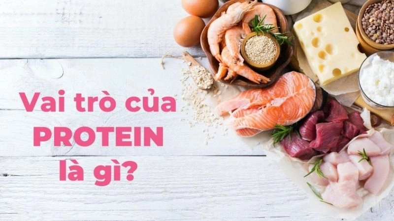 Vai trò của protein với cơ thể