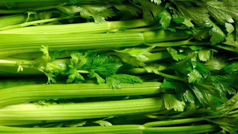 Cần tây là một thực phẩm có chứa hàm lượng calo tương đối thấp