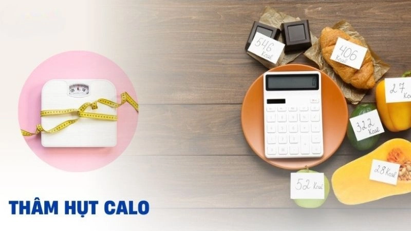 Thâm hụt calo là chìa khóa giảm cân hiệu quả