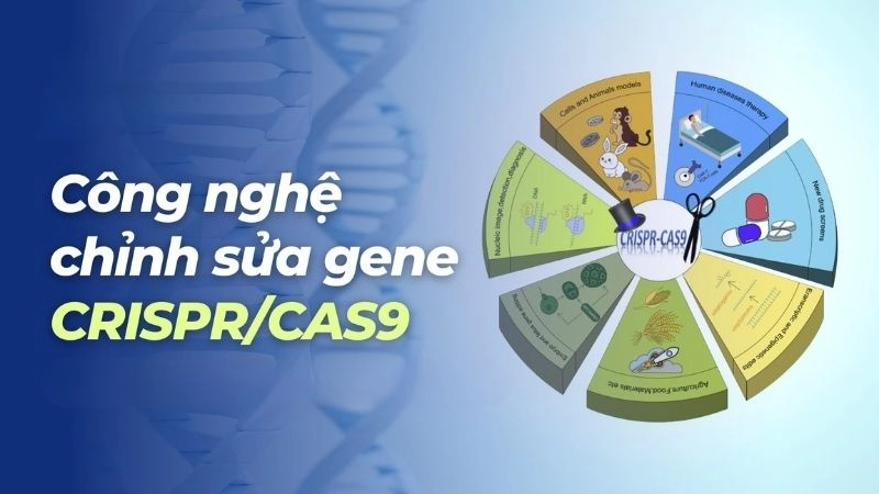 CRISPR, một công cụ chỉnh sửa gen mang tính cách mạng
