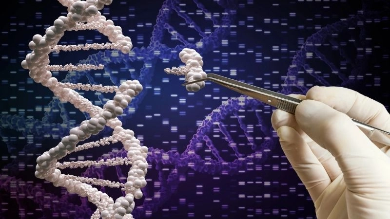 Mặc dù CRISPR có độ chính xác cao, nhưng vẫn luôn tồn tại nguy hiểm