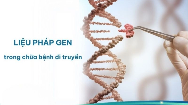Liệu pháp gen là một phương pháp điều trị các rối loạn di truyền