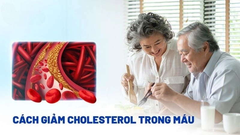Biện pháp phòng ngừa cholesterol trong máu cao