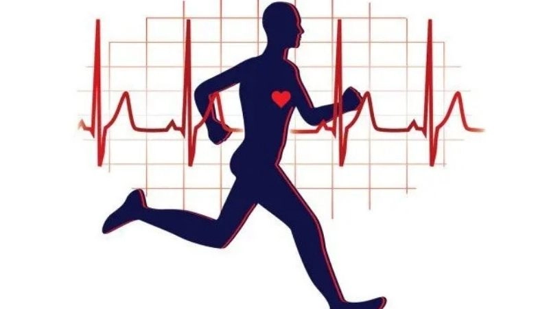 Lợi ích của tập thể dục đối với sức khỏe tim mạch