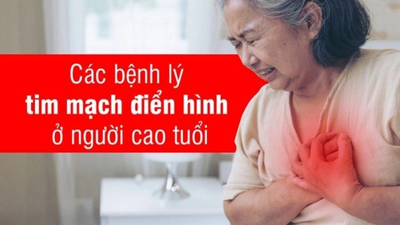  bệnh lý tim mạch này đều ảnh hưởng ít nhiều đến sức khỏe của người già,