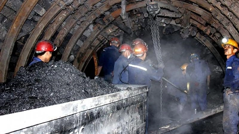 Môi trường nghề nghiệp và các yếu tố gây hại cho phổi