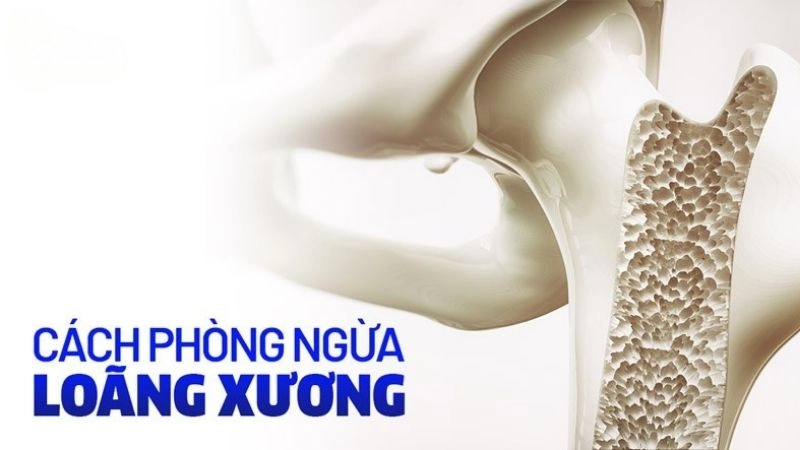 Biện pháp phòng tránh nguy cơ người già mắc bệnh loãng xương