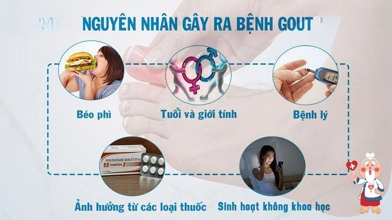 Nguyên nhân gây ra bệnh là do sự rối loạn chuyển hóa acid uric trong cơ thể